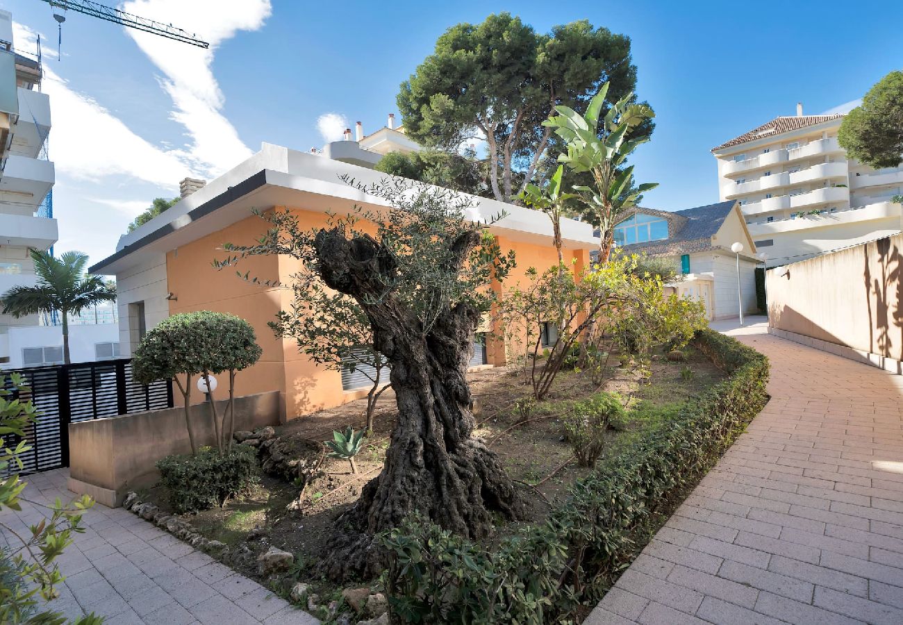 Appartement à Benalmádena - MISTRAL 7 2 A